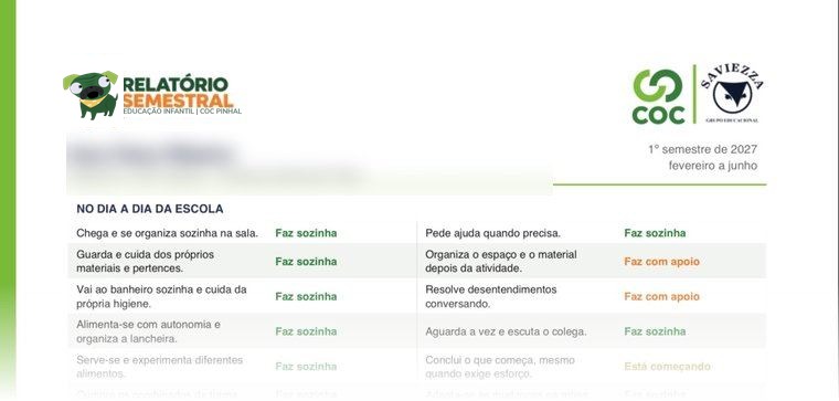 Modelo do relatório semestral entregue à família